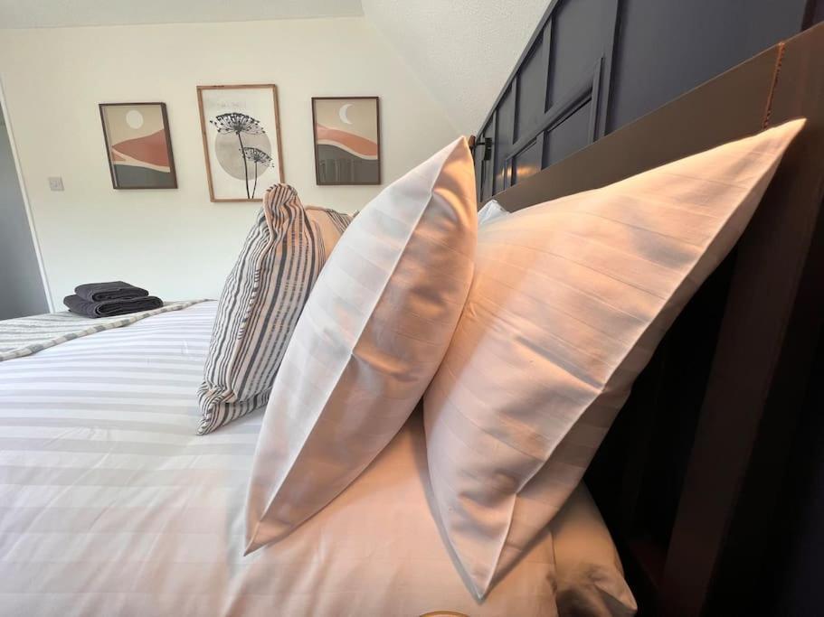 Little Hill - A Hidden Gem Villa Salcombe Bagian luar foto